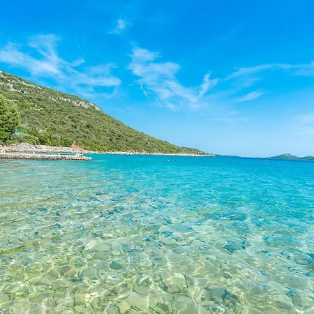 House Bellatrix Tkon