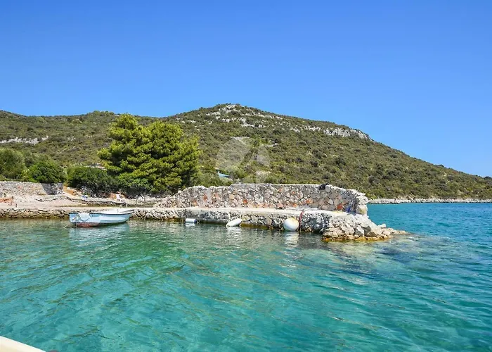 House Bellatrix * Tkon