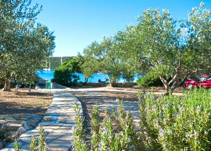 House Bellatrix Tkon