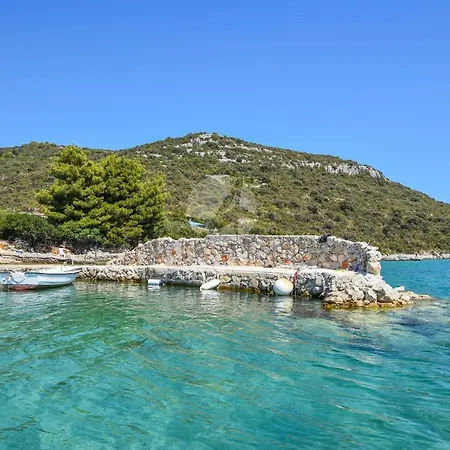 House Bellatrix * Tkon