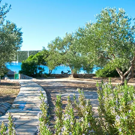 House Bellatrix Tkon