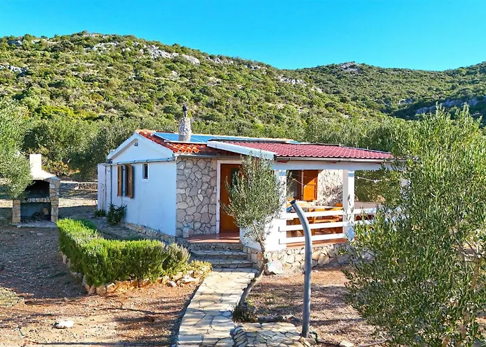 House Bellatrix * 트콘