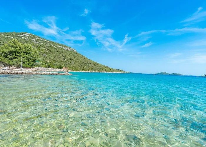 House Bellatrix 트콘